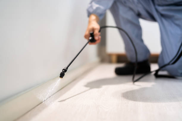 Licensed Pest Control service in Marshall, MO - Show Me Pest Control